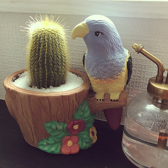 aya_24vvさんの実例写真