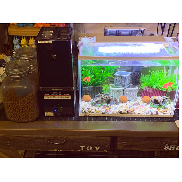 akipuさんの実例写真
