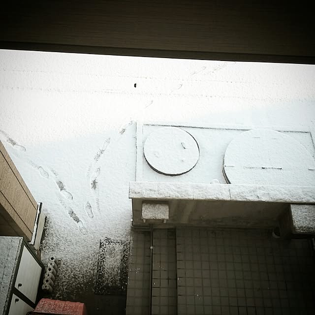 ayuminさんの実例写真