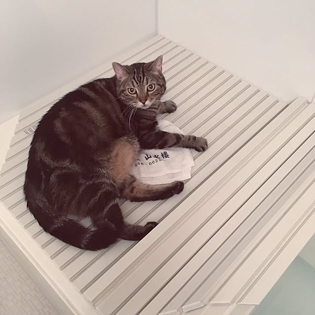 mikomaruさんの実例写真