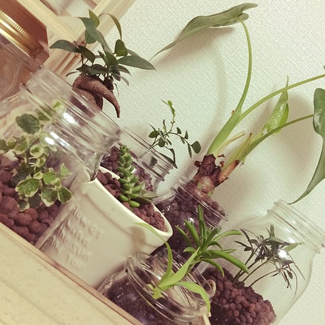 y_mommyさんの実例写真