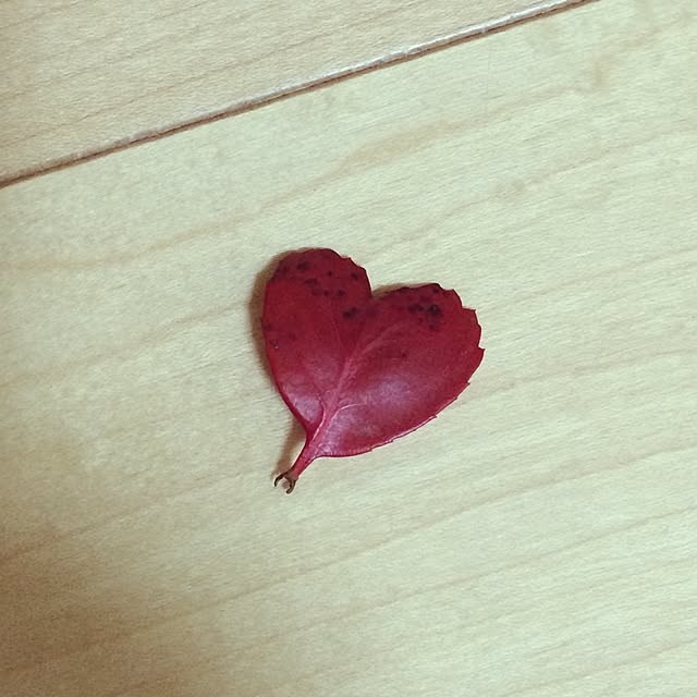 kyoromiさんの実例写真