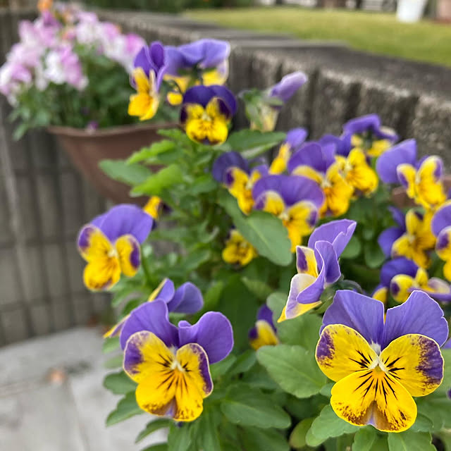 bestwishes.ryokoさんの実例写真