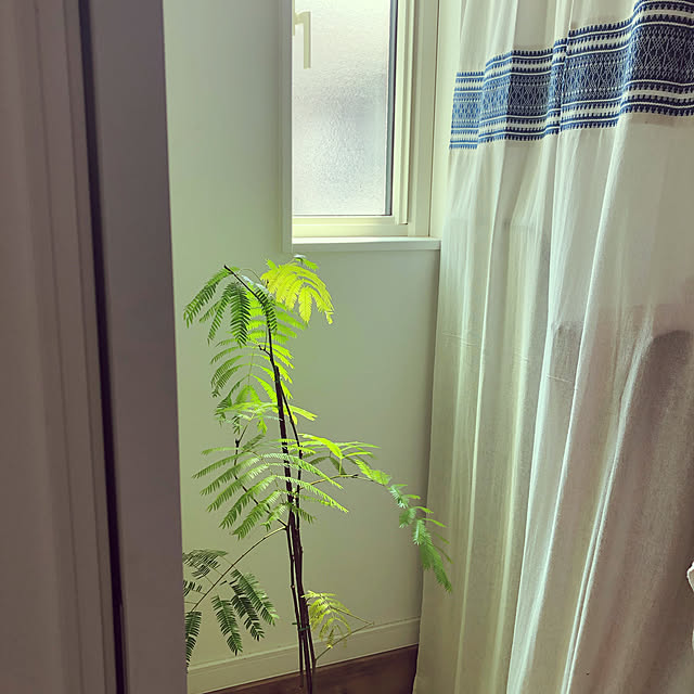 saya0118さんの実例写真