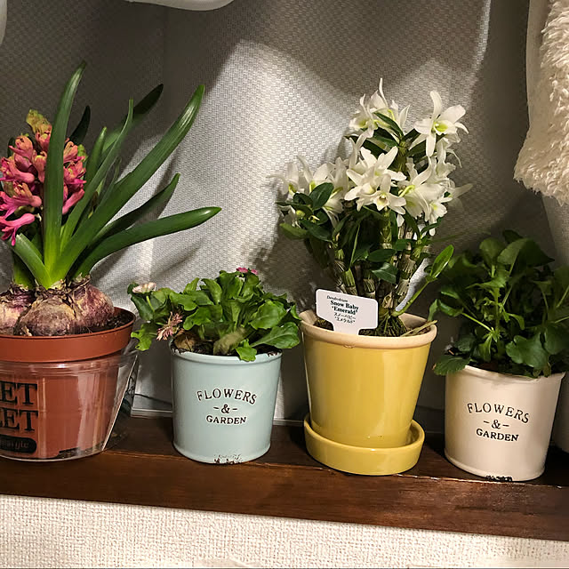 flowerflower87878787さんの実例写真