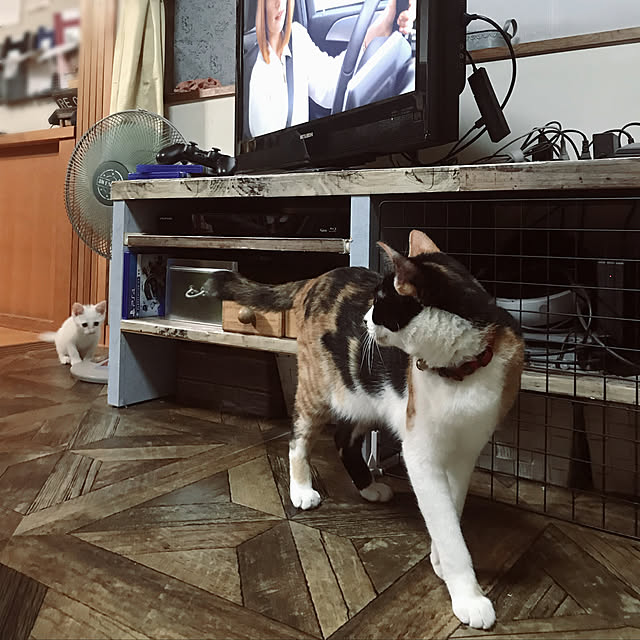 maroさんの実例写真