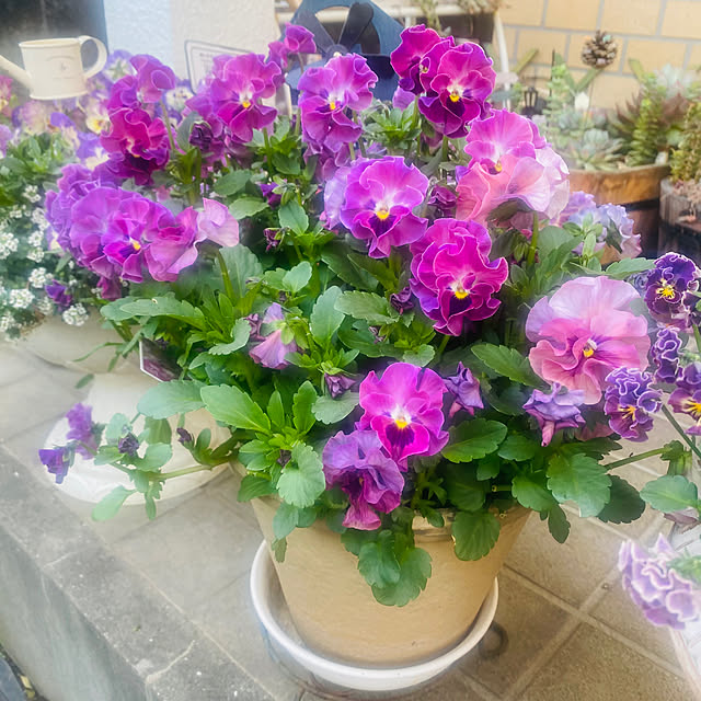 soyominさんの部屋