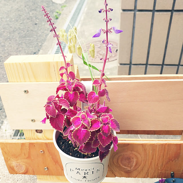 Eriさんの実例写真