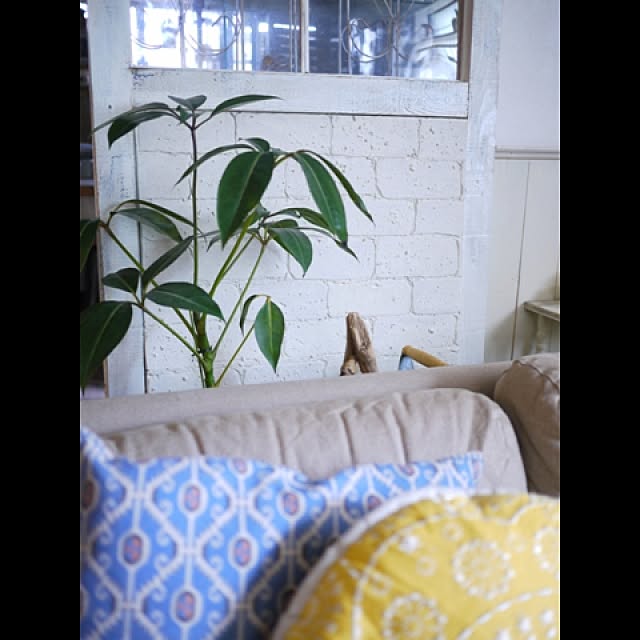 kurumiさんの実例写真