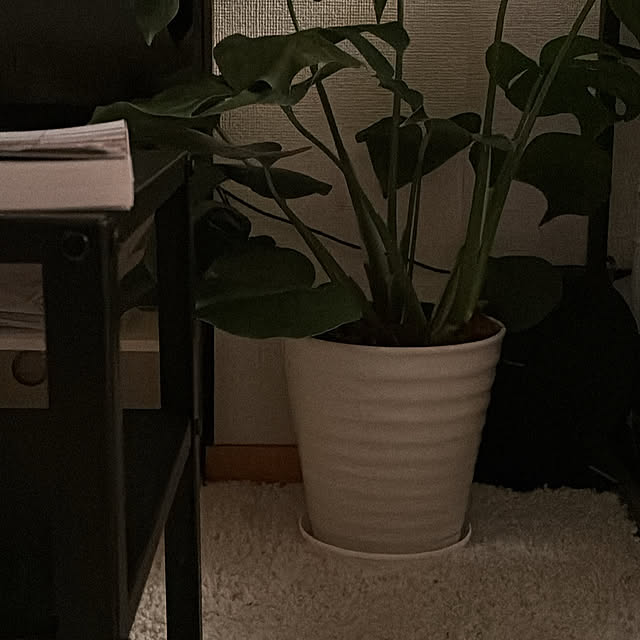 zisさんの実例写真