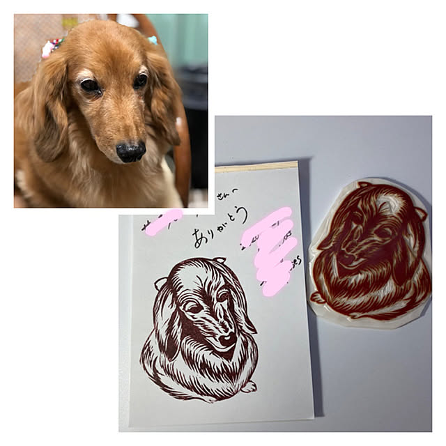 ray55さんの実例写真