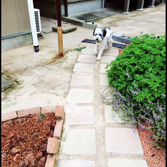 nuiさんの実例写真