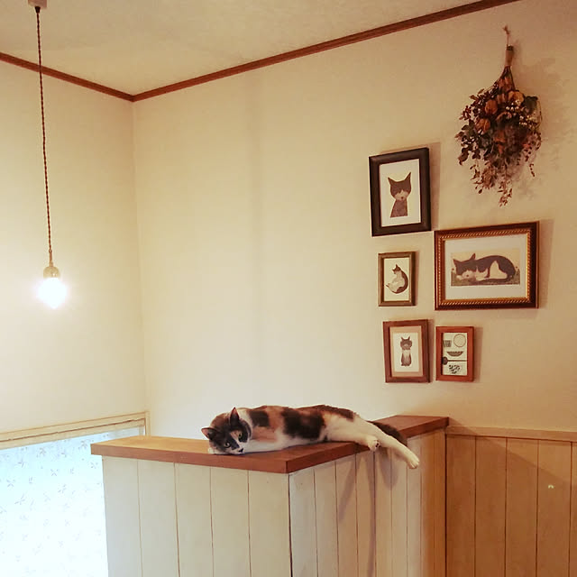 tomo1220さんの実例写真