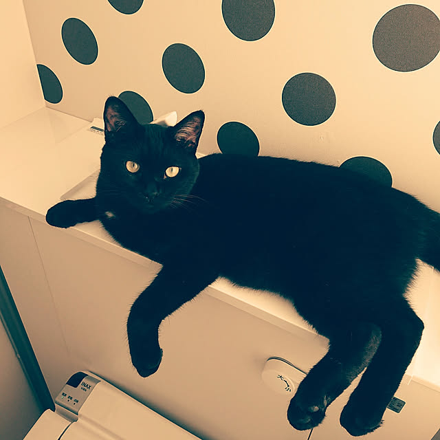 jijicoさんの実例写真