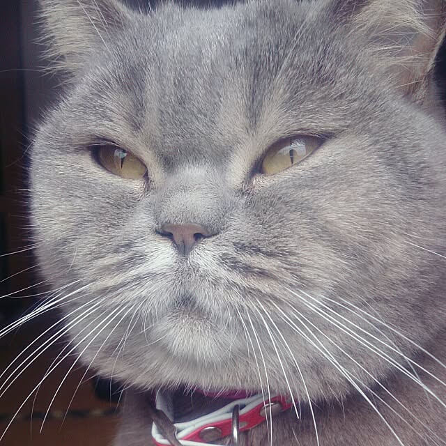 ruruさんの実例写真