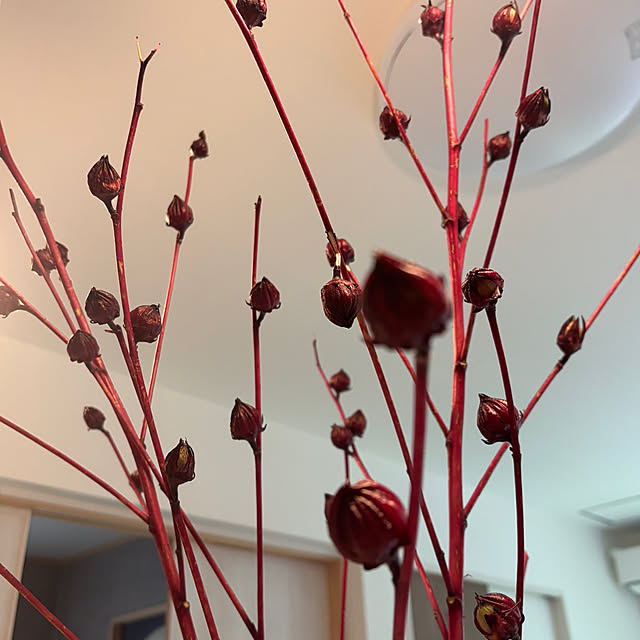 mikomamaさんの実例写真