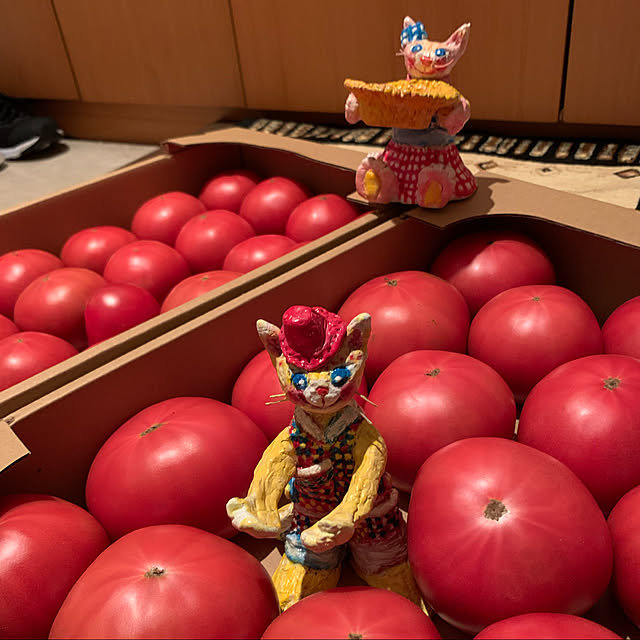 Aqettyさんの実例写真