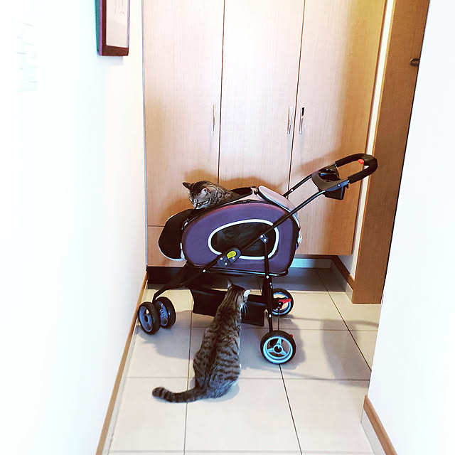 mitu_masaoさんの実例写真
