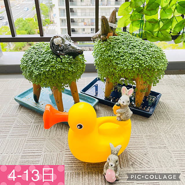aureaさんの実例写真
