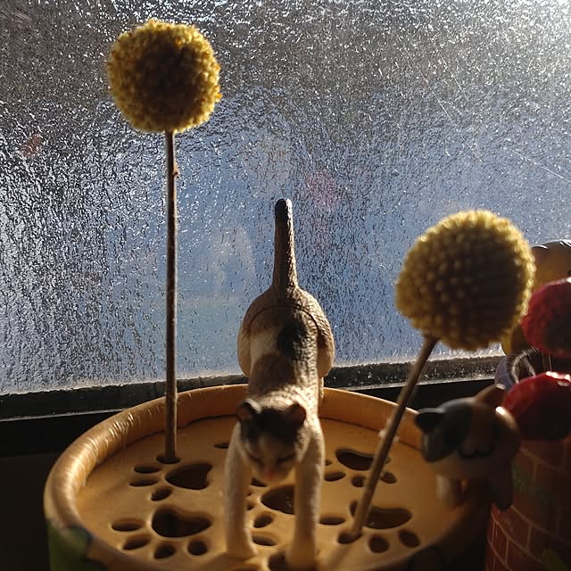 glassさんの実例写真