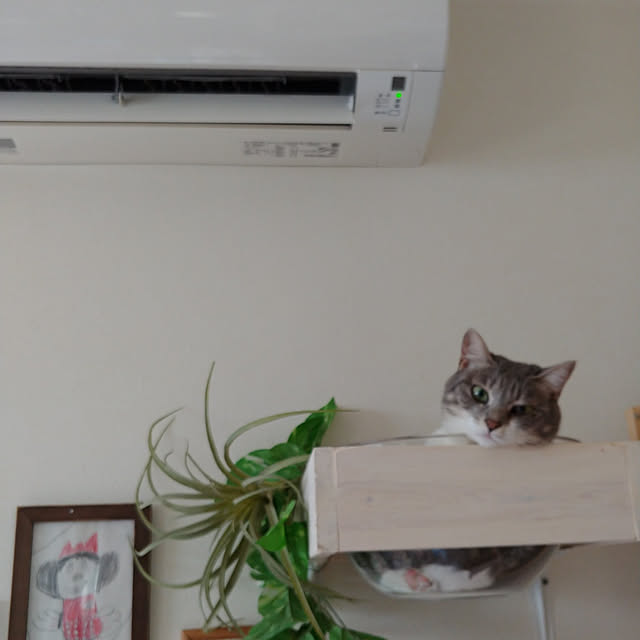 muuさんの実例写真