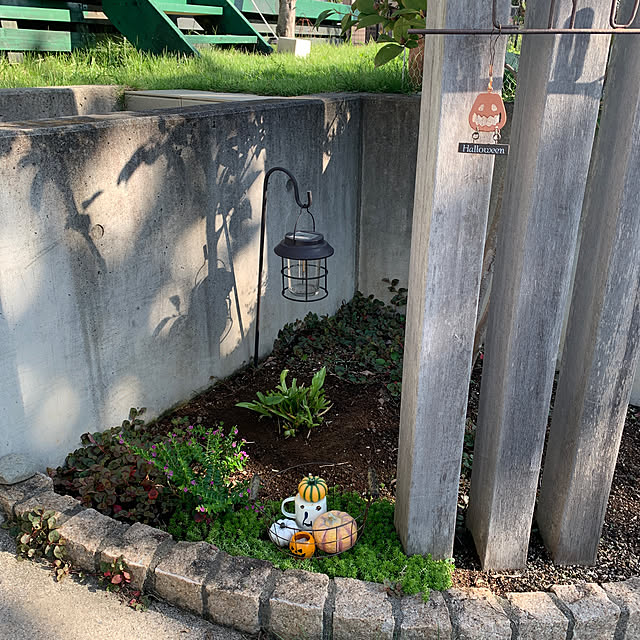 1TAさんの実例写真