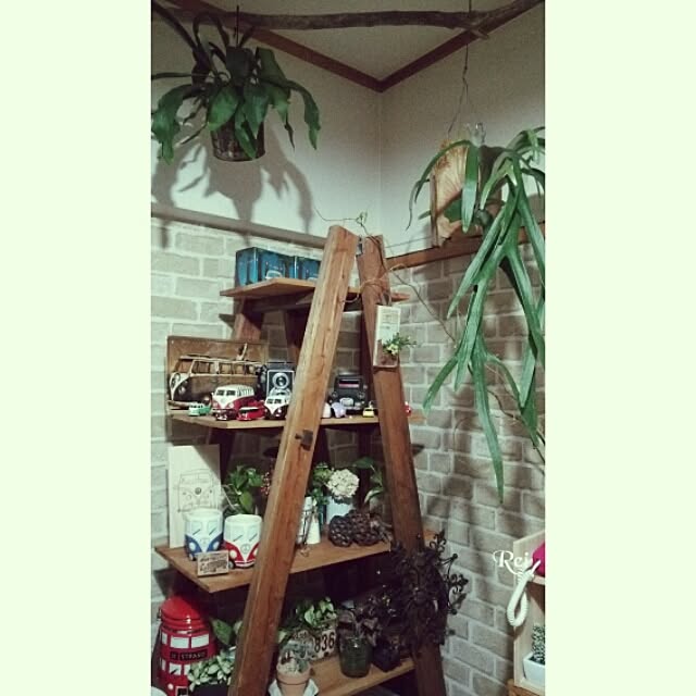 Reiさんの実例写真