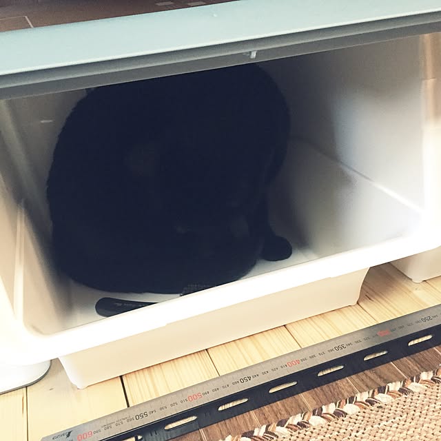 Gooさんの実例写真