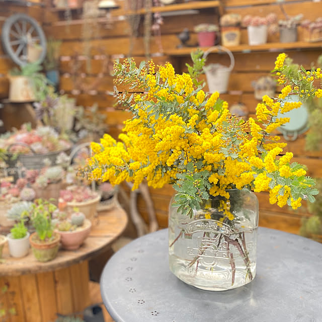 mintteaさんの部屋