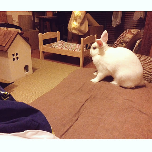 shiremono07gさんの実例写真