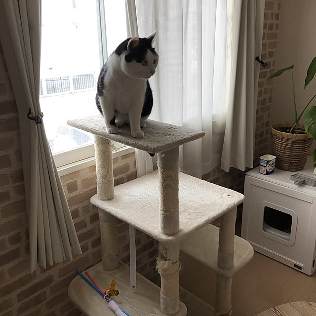 k.Iさんの実例写真