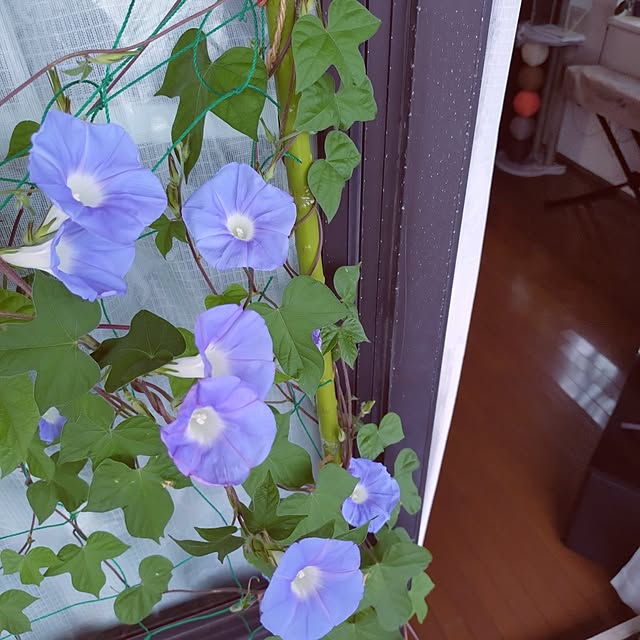 NOAHさんの実例写真