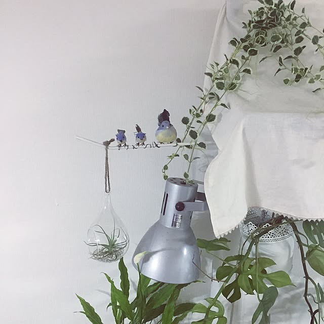 kusuttoさんの実例写真