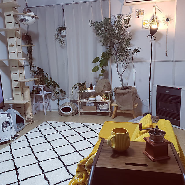 megu.catさんの実例写真