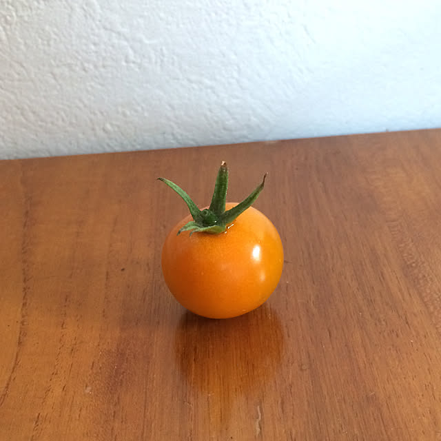 ikekunさんの実例写真