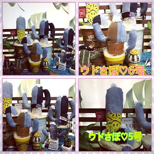 megu0727さんの実例写真
