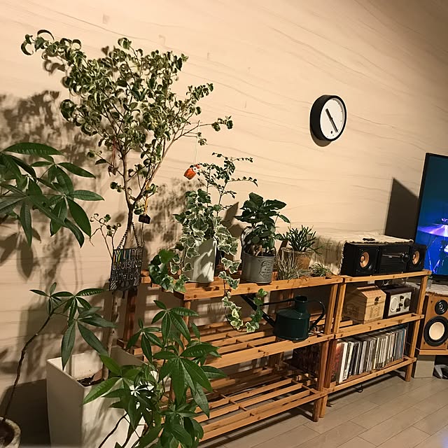 kojirohさんの実例写真