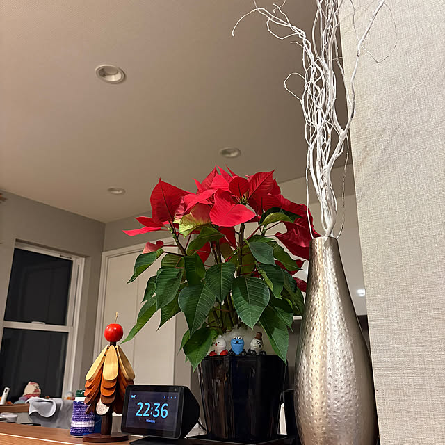 ikuzakさんの実例写真