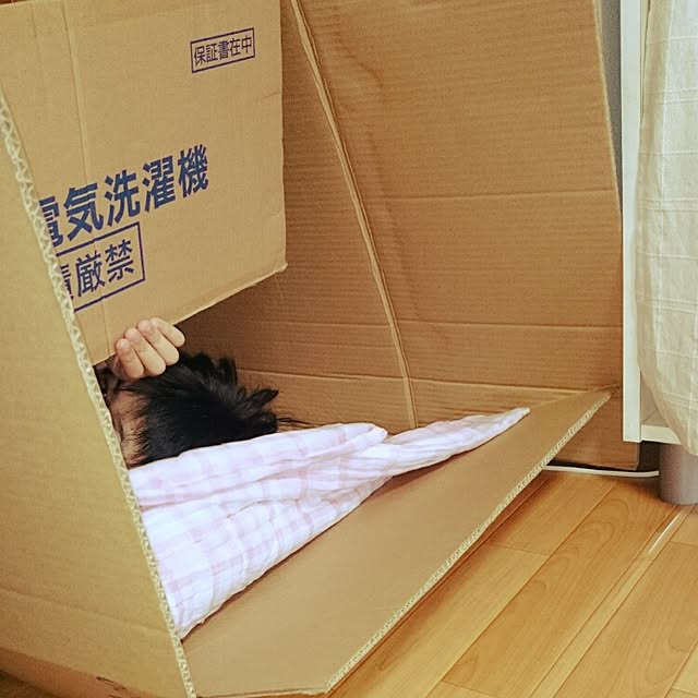 akiさんの実例写真