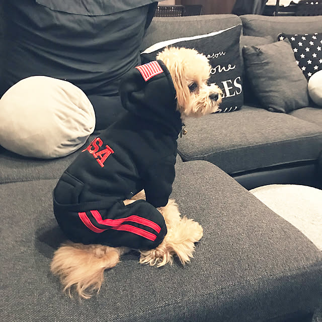 ikt.tamaさんの実例写真