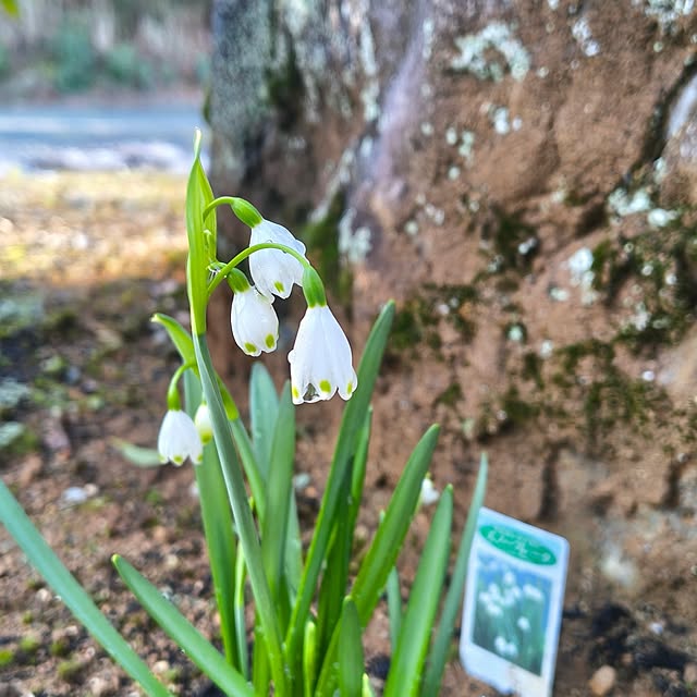 Rubiconさんの部屋