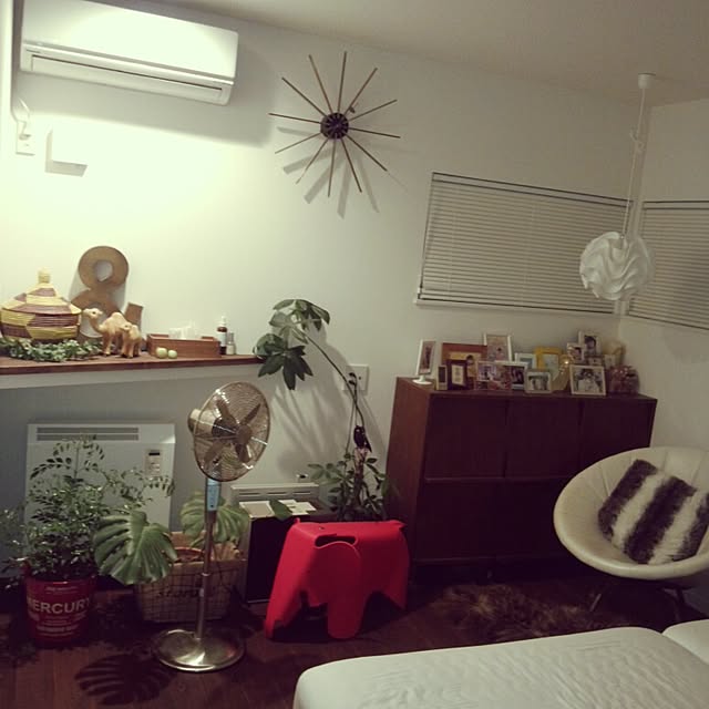 junjunさんの実例写真