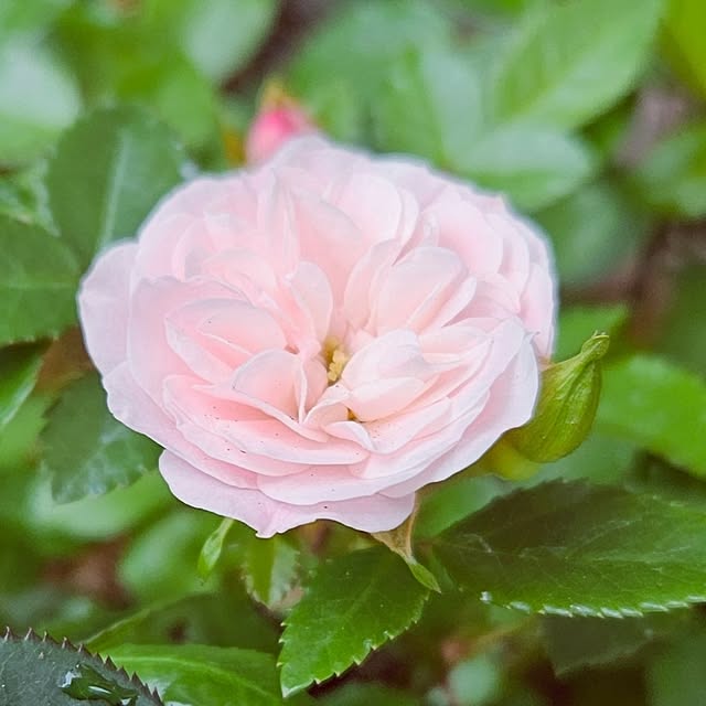 mocomocoさんの部屋