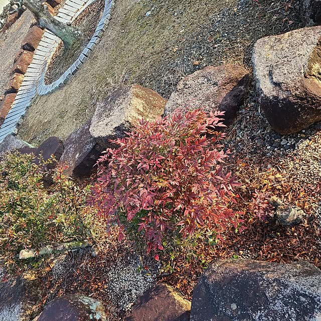 Rubiconさんの部屋