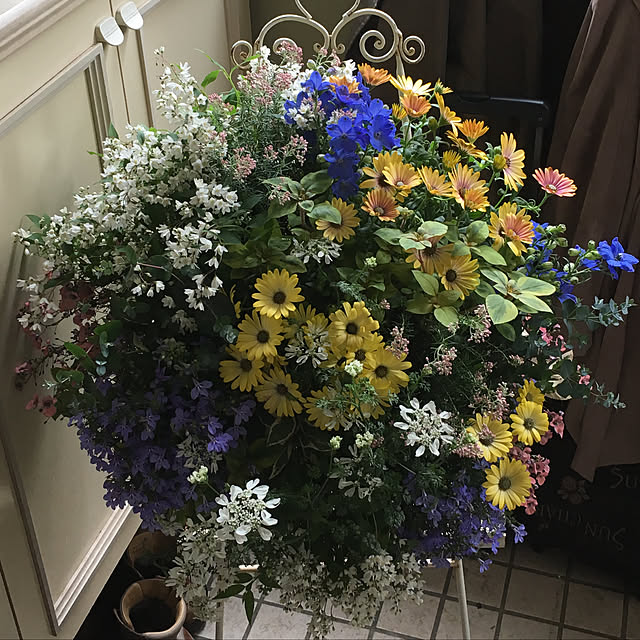 claさんの実例写真