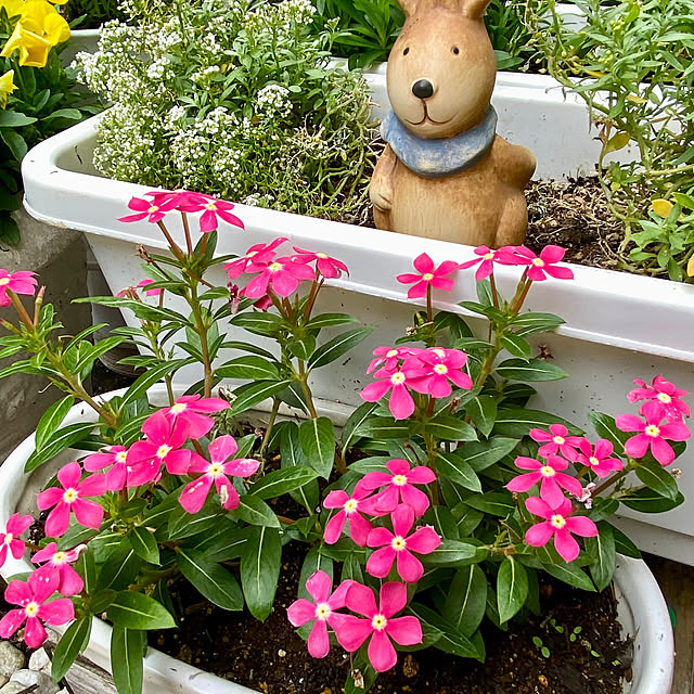 YuuKoさんの部屋