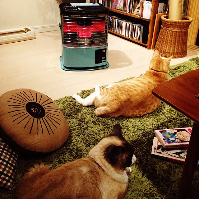 NPGHさんの実例写真