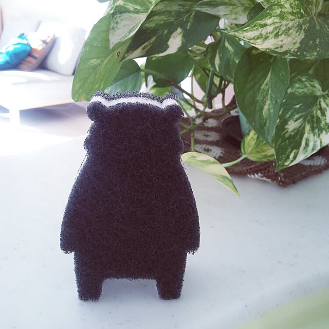 SAYOさんの実例写真