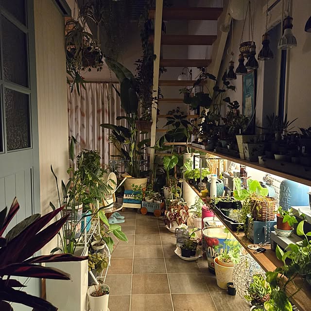 nonbiri_house_さんの実例写真