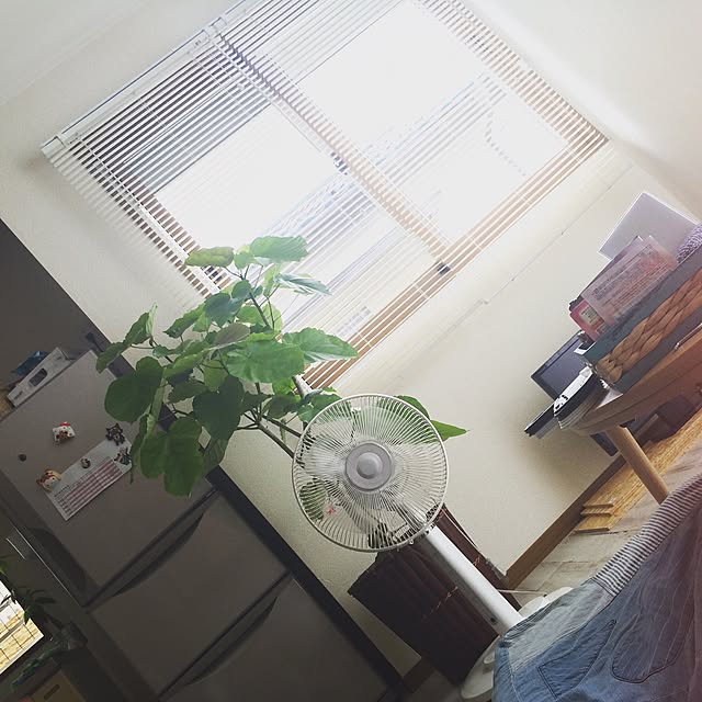 xxSHU3xxさんの実例写真